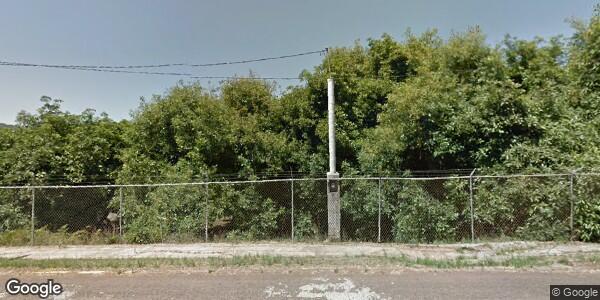 JUNTA LOCAL DE SANIDAD VEGETAL DEL MUNICIPIO DE ARIO MICH